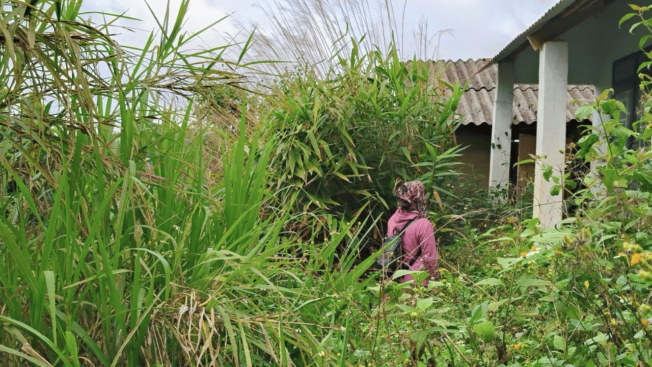 Пенсионерка-учитель купила старый дом на свои $2000 — всех шокировало, что стало после уборки