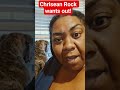 Chrisean Rock wants out #zuesnetwork #chriseanrock #jr #demons #sacrifice #news #contracts #blueface