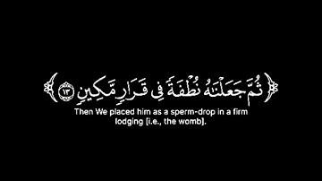سورة المؤمنون  وَلَقَدْ خَلَقْنَا الْإِنْسَانَمِنْ سُلَالَةٍ مِنَّ طِينٍ