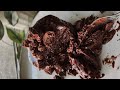 HIGH PROTEIN BROWNIE BATTER PANCAKES RECIPE