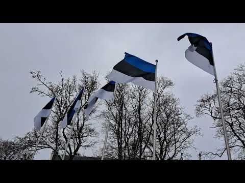 Ivanhoe - Eesti võidab niikuinii
