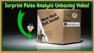 I Got A New Fossil Skull Cast!: SURPRISE UNBOXING VIDEO!