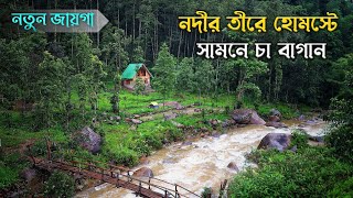 Little Rangeet River in Mim Tea Garden ~ Darjeeling ↑ Travel Vlog #170 with Santanu Ganguly