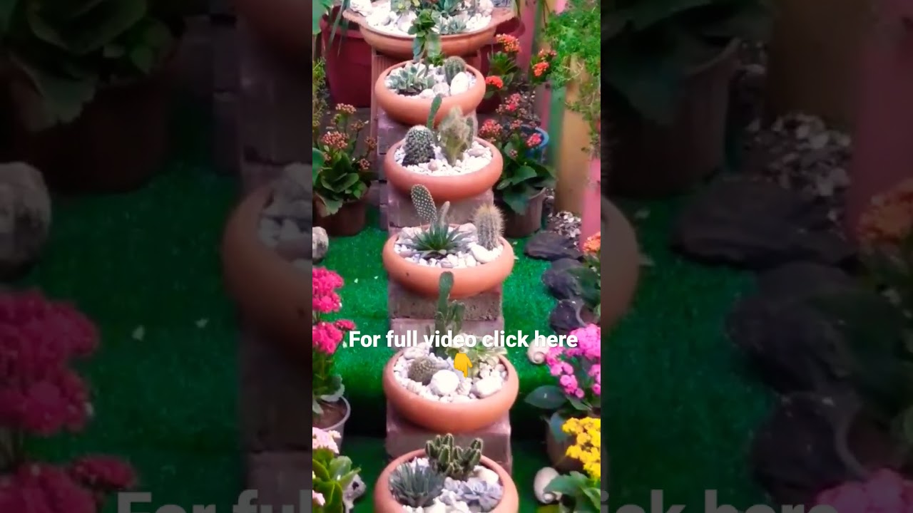 Succulents Arrangements ideas