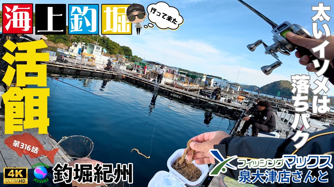 【海上釣堀】冬間近は太いイソメで落ちパク！活エサ買うなら・・・