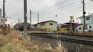 【JR東日本貨物】金太郎-EH500形牽引交差通過シーン