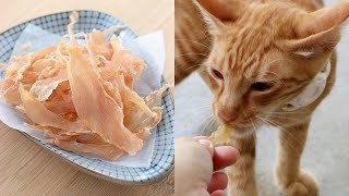 DIY Homemade Cat Treats | Dehydrated Chicken Jerky for Cats | Healthy Cat Food Recipe