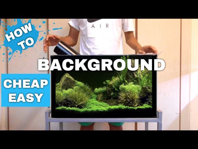DIY Black Aquarium Background - How to Vinyl your Glass Tank! 