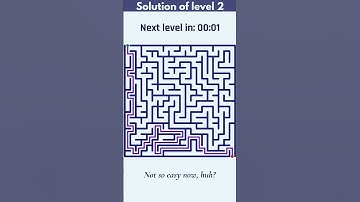 Maze Puzzle Brain Game: Can You Solve All 3 Levels in 42s?