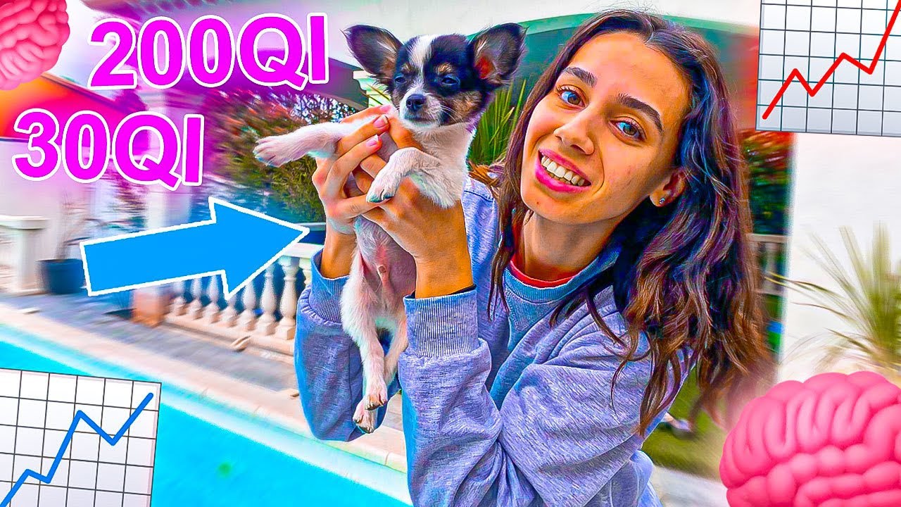 JE TESTE L'INTELLIGENCE DE MON CHIEN 🐶