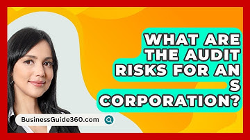 What Are The Audit Risks For An S Corporation? - BusinessGuide360.com