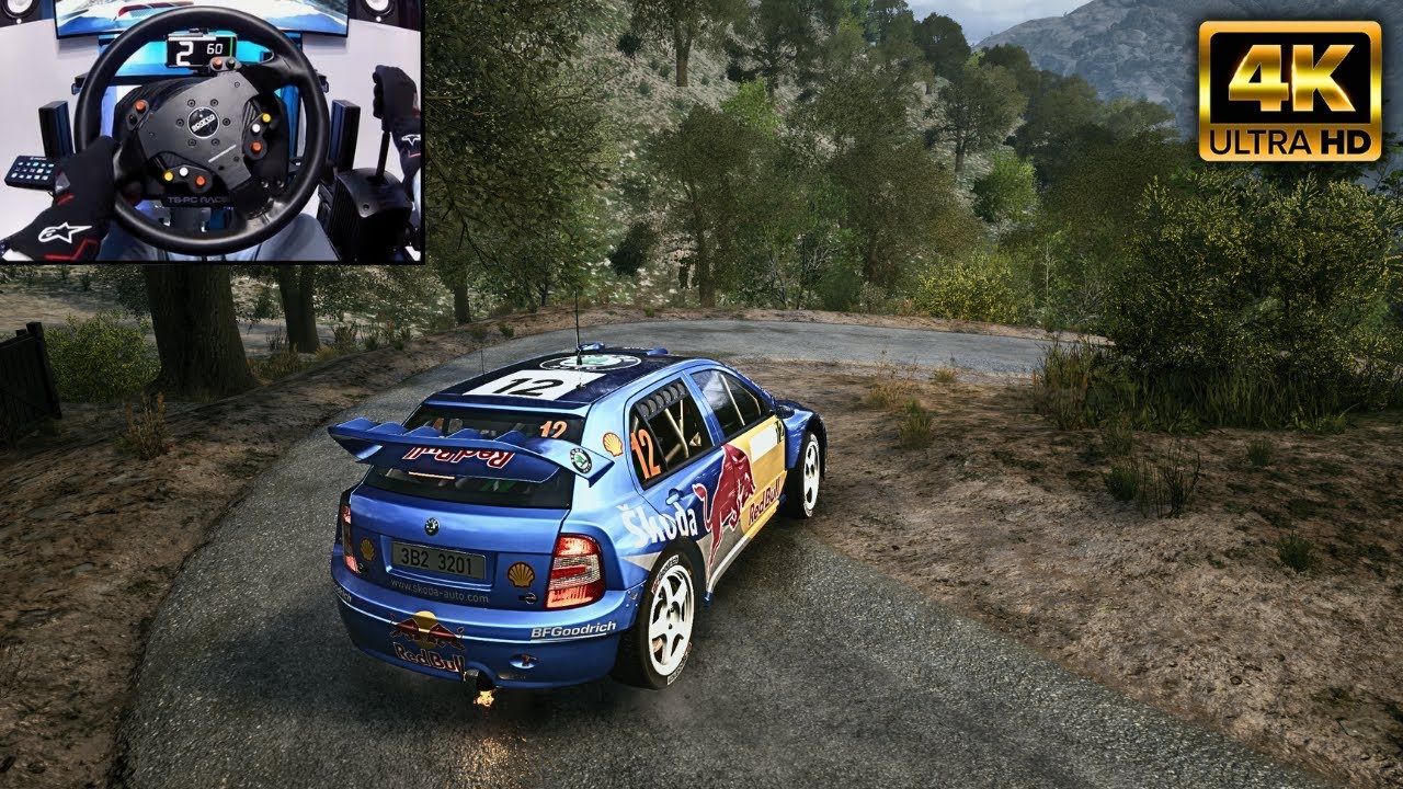 WORLD RECORD 3RD | SKODA Fabia WRC | EA Sports WRC
