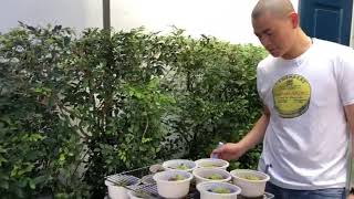 Buffet lunch on Restaurant Andre's last day