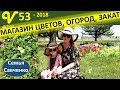 Download Магазин цветов США, Покупки, Огород, Закат и песня Многодетная семья Савченко Магазин цветов США, Покупки, Огород, Закат и песня Многодетная семья Савченко