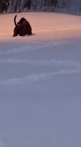 youtube.com