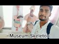 Human bodys all bones and all part #viralvideo #meditationmusic #medicalstudent