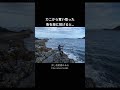 カニから奪い取った餌が最強です。 #小笠原 #fishing #ロックショア