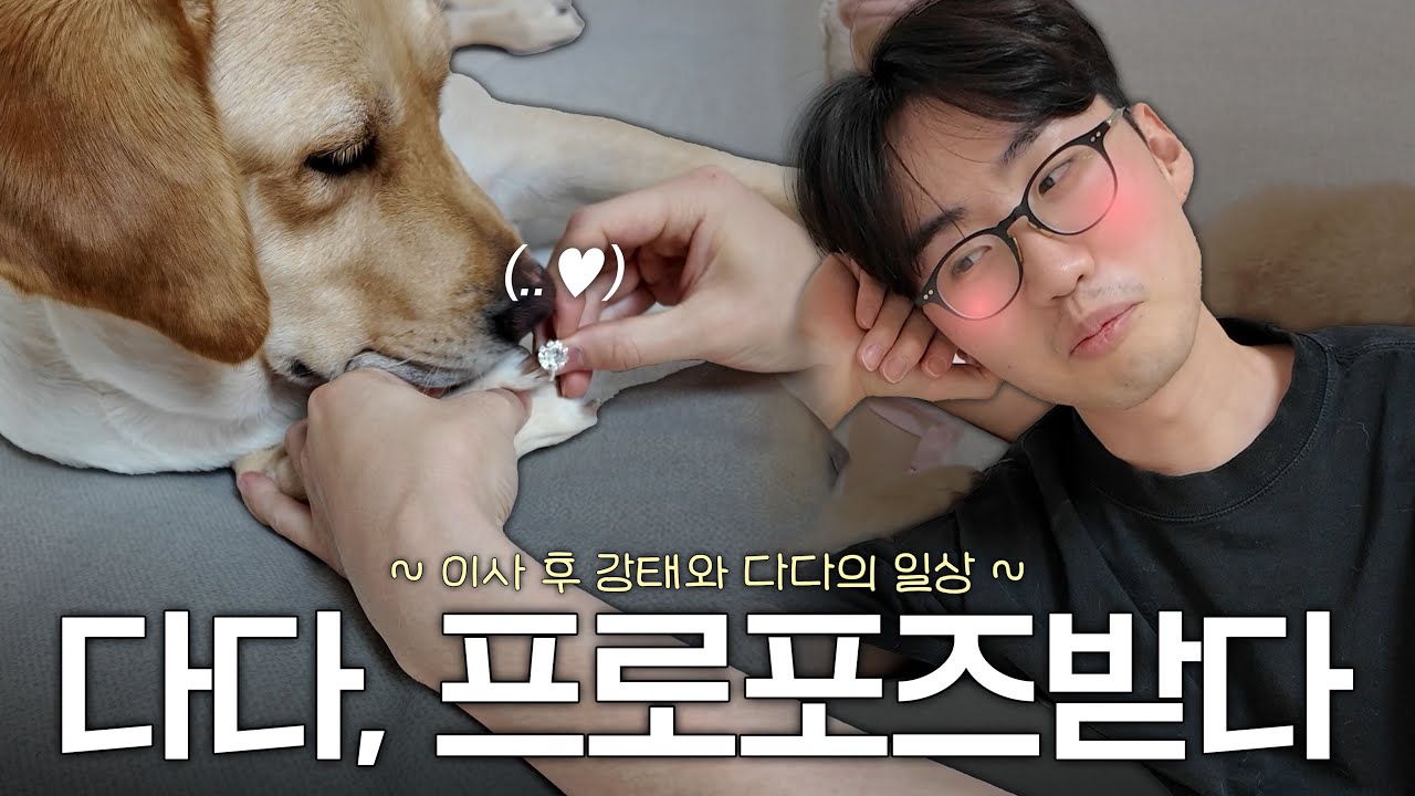 다다에게 프로포즈 한 이강태 그걸 바라보는 본처