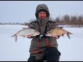 СНАСТЬ ВЕРТОЛЕТ. Ловим белую рыбу на Вертолёт. Рыбалка на мелководье