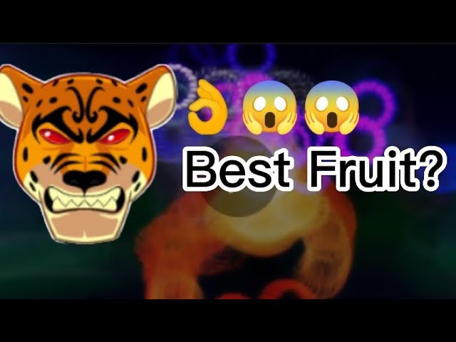 BOUNTY HUNTER BLOX FRUITS LEOPARD - EM BUSCA DOS 30 MILHÕES DE BOUNTY #1  (ENFRETEI VÁRIOS LEOPARDOS) 