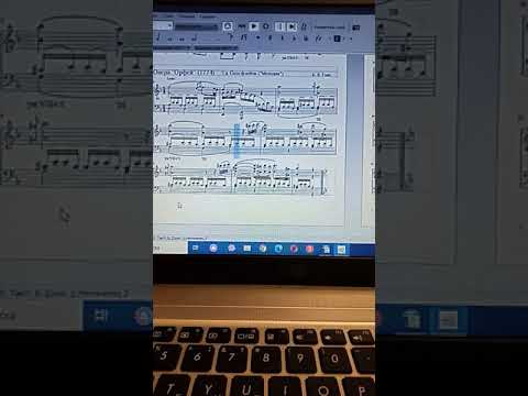 Вводные септаккорды (VII7)