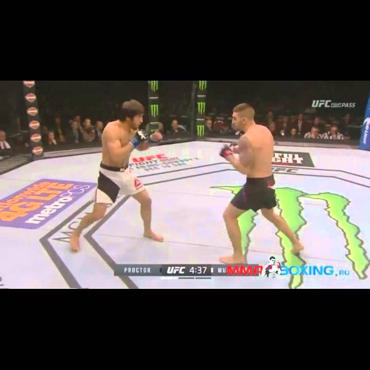 UFC 194 - Magomed Mustafaev vs Joe Proctor