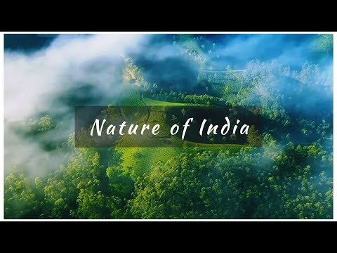 Nature Whatsapp Status | India Nature Beauty 😍😍