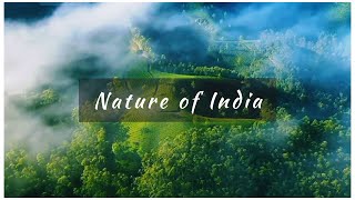 Nature Whatsapp Status | India Nature Beauty 😍😍