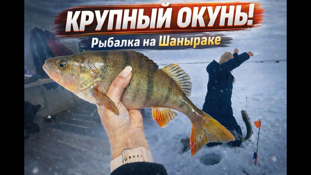 ЩУКА, СУДАК И ОКУНЬ! ШАНЫРАК, ВЕРХНИЙ ТОБОЛ