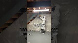 Okay guys please be nice I worked sooo hard 🤣 #renovation #catsanctuary #basementremodel  #sar_car
