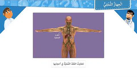 تحميل تركيب الجهاز اللمفاوى ٢٠٢١ Mp4 Mp3
