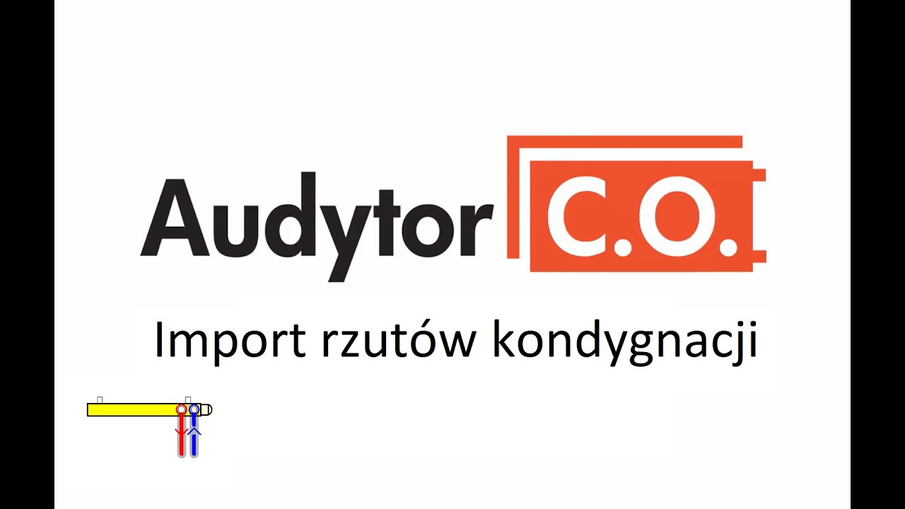 O import. Audytor co.