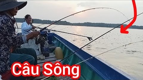 Hết Nước Câu Đùng Chuyển Qua Câu Sông Bào Cá Tạp || Câu Sông Thị Vải