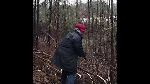 A trip to a friend's farm in Ward, South Carolina!