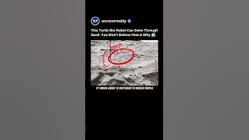 This Turtle Like Robot Can Swim Through Sand. You Won