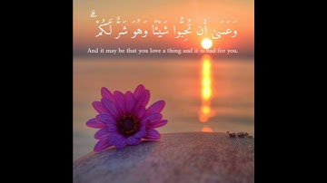 (وعسي أن تكرهوا شيئا وهو خير لكم) تلاوه خاشغه - إسلام صبحي 💜 حالات واتس آب