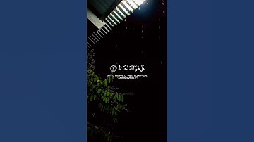 #ايات_من_القران_الكريم #تلاوة_خاشعة #مقاطع_دينية #القرآن_الكريم #راحة_نفسية