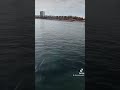 جيتك يا بحر قلبي عامر حكايتي حكايا جيتك يا بحر قلبي عامر حكايتي حكايا