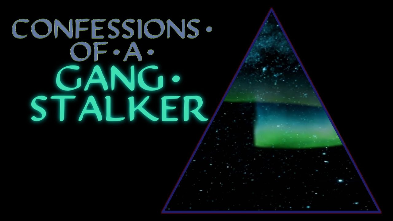 Confessions Of A Gang Stalker   Scary Stories