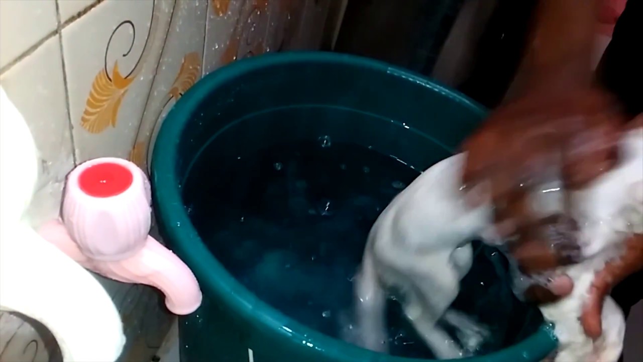 Kitten/CAT takes first BATH - Funny cat bathing compilation Funny cat vine
