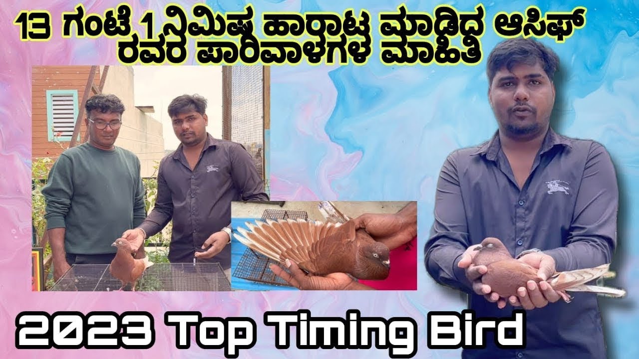 2023 ರ 13 Hours 1 minutes Top Time Bird | ಆಸಿಫ್ ರವರು ಪಾರಿವಾಳಗಳನ್ನು ಮಾರಟ ಮಾಡುತ್ತಾರೆ ! ನೀವು ನೋಡಿ😱