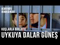 Kuşlarla Birlikte Uykuya Dalar Güneş | Uçurtmayı Vurmasınlar