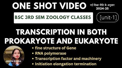 Bsc 3rd sem zoology one shot video|Unit-1|Transcription in both prokaryote and eukaryote|#bsc3rdsem