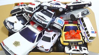 I put a lot of police car toys in the box ☆ Let's start driving on the slope!