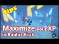Tips to Maximize your XP in Roblox Fisch