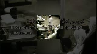 сура 4 (ан-Ниса) аят:57.чтец Махди Аш Шишани #ислам #коран #красивоечтение