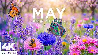Springtime Splendor 4K | Beautiful Spring Garden, Butterflies & Buzzing Bees