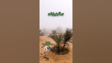 ثواني قرآن كريم بصوت الشيخ ماهر المعيقلي سورة الكهف (قال له صاحبه وهو يحاوره) حالات واتساب اسلاميه