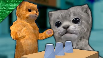 Why "Cats Playing The Shell Game" is a Comedic Masterwork