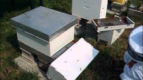 Installing Nucs part two May 2011